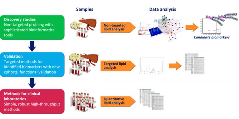 Applications of Lipidomics in Discovery of Disease Biomarkers