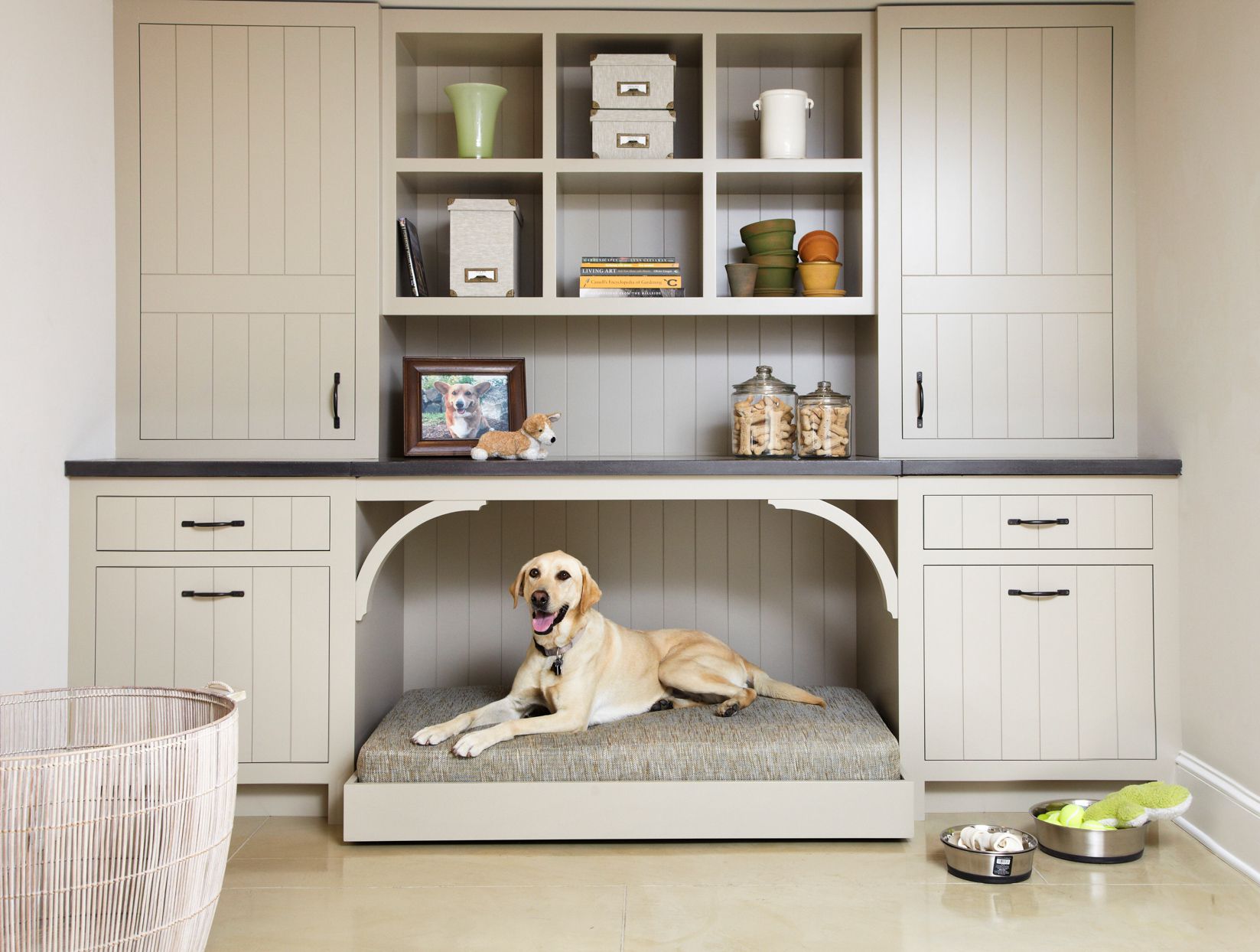 Home Decor for Pet Owners: Stylish and practical tips for homes with pets.