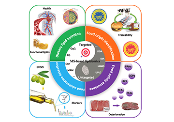 Applications of Lipidomics in Food Quality and Safety