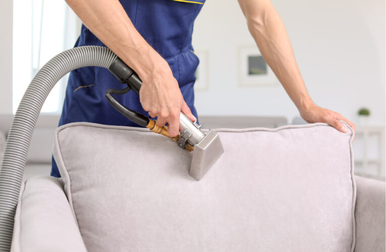 Carpet Cleaning Reading MA: Comprehensive Guide to Professional Services