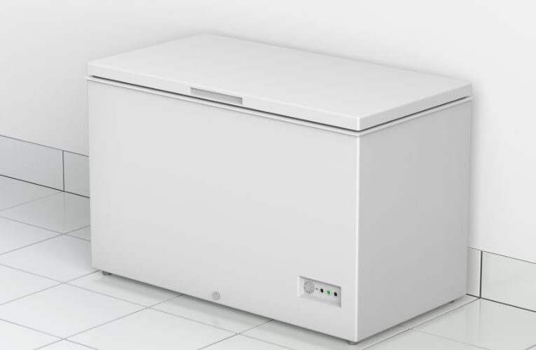 Chest Freezer for Sale: A Comprehensive Guide